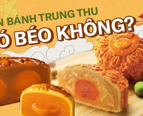 Ăn bánh trung thu có béo không? Cách ăn bánh trung thu không tăng cân