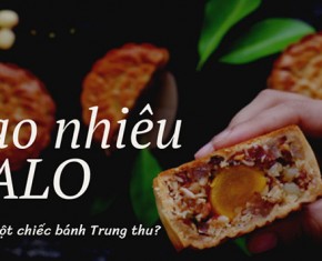 Một cái bánh trung thu bao nhiêu calo? Ăn bánh trung thu có mập không?